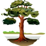 trees android application logo